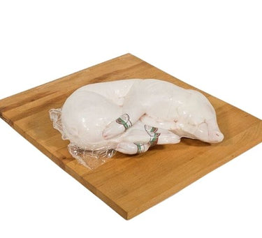 cochinillo